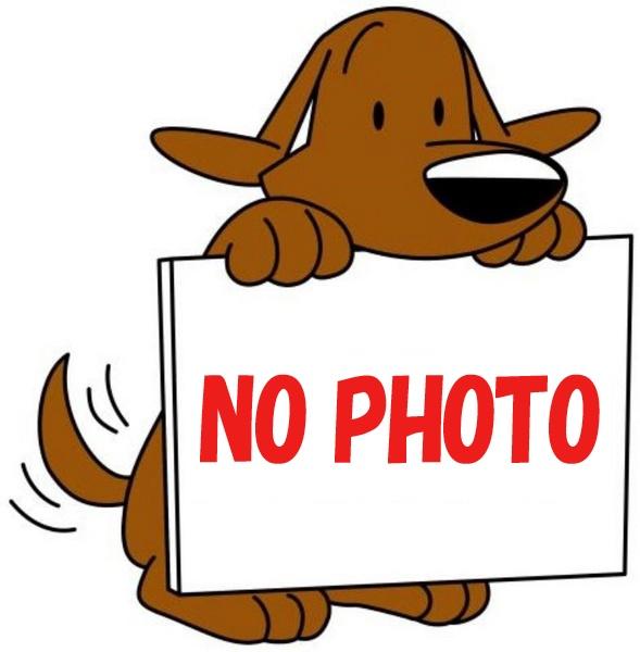 大阪市鶴見区今津南1丁目の店舗(建物一部)