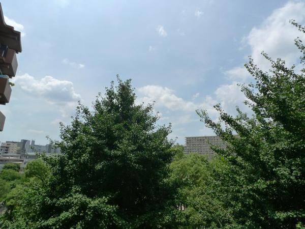 レジュールアッシュ福島