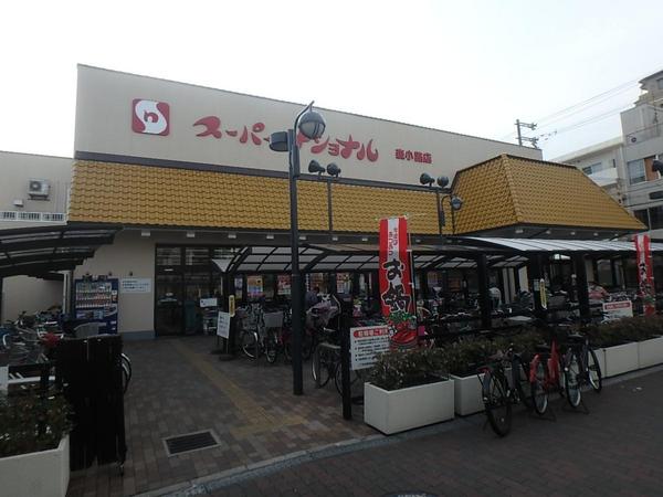 エリジェール新森(スーパーナショナル森小路店)