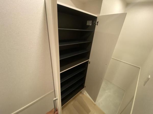 ウェルス暁