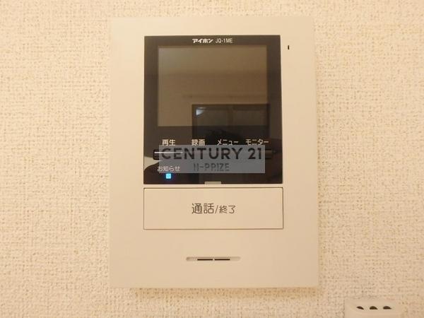 キャンファーウッド