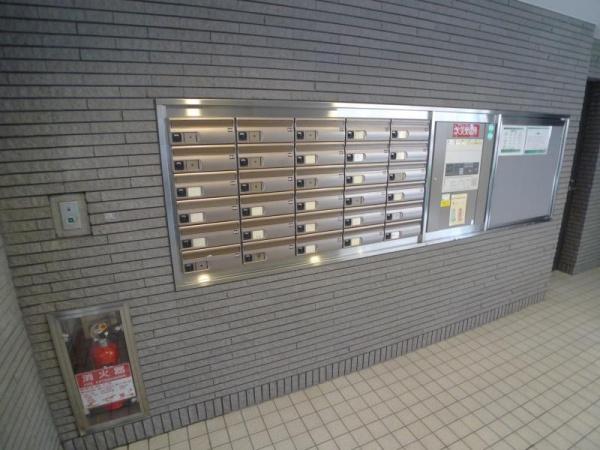 風雅
