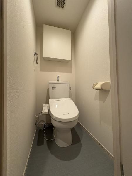 八潮市大瀬4丁目のマンション(トイレ)