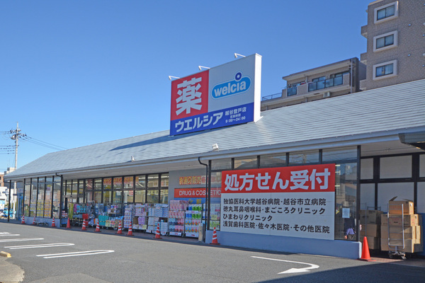 ハイツ小林(ウエルシア越谷登戸店)