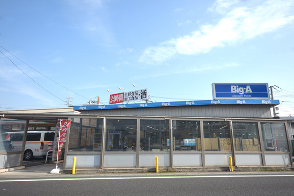コレクト2番館(ビッグ・エー越谷赤山店)