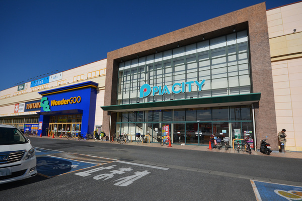 新越谷ハイツ(ピアシティ)