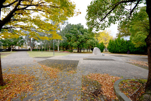 モアグリーン(鷺高第五公園)