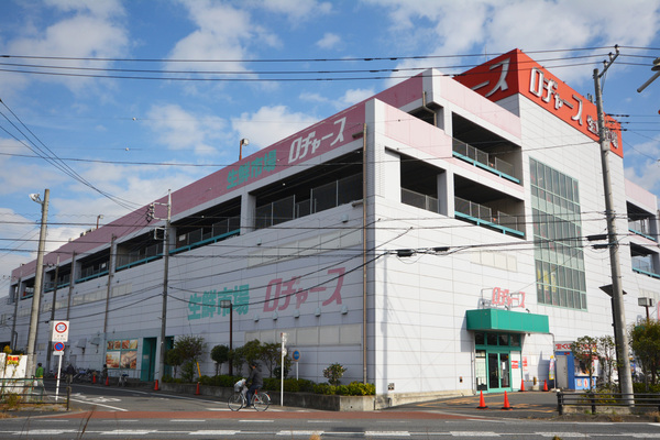 ニッカサン越谷レジデンス(ロヂャース越谷店)