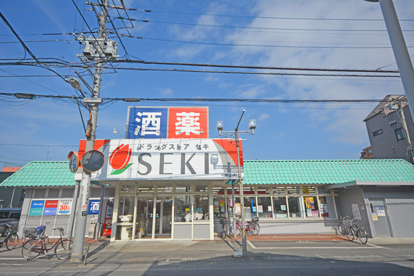 ニッカサン越谷レジデンス(ドラッグストアセキ赤山町店)