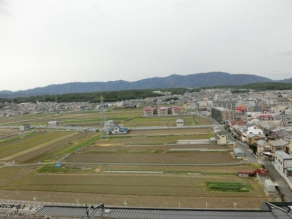 ジオ阪急洛西口ノースレジデンス　12階部分