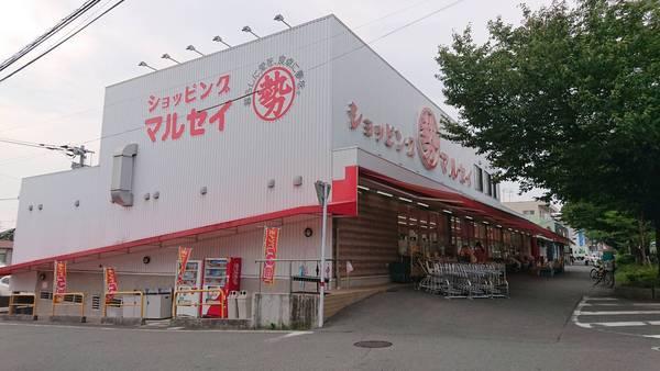 カーサM1(丸勢)