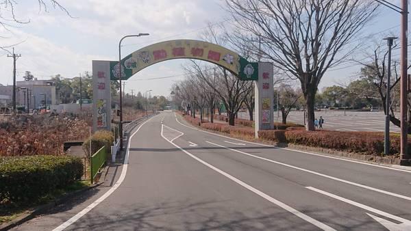 カーサM1(熊本市動植物園)