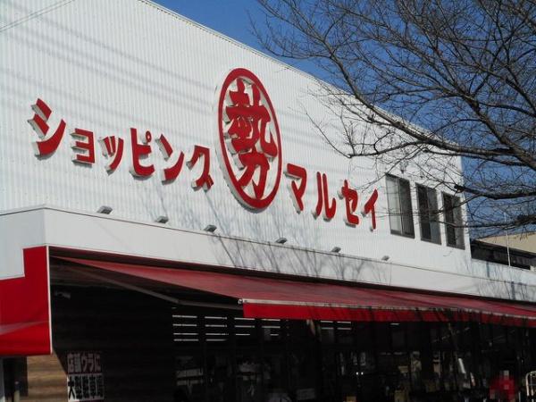 トップフィールド(丸勢)
