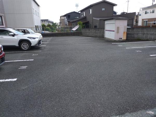 ベネッセ米野