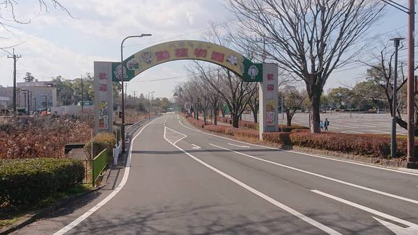 スターエイトⅡ(熊本市動植物園)