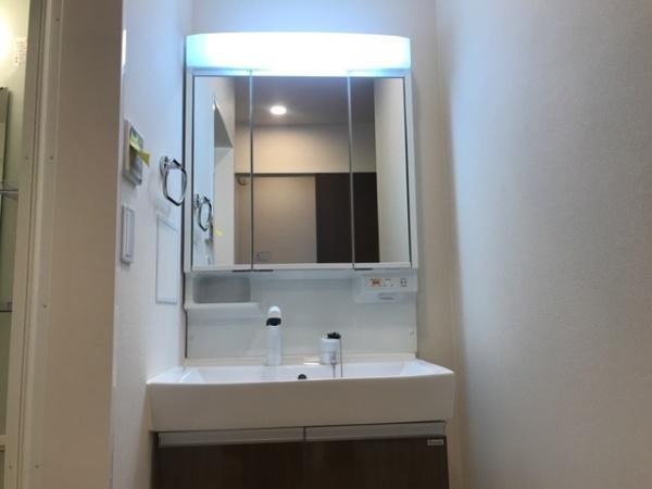 Rion(洗面台・洗面所)