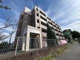 LaVieenrosehill202