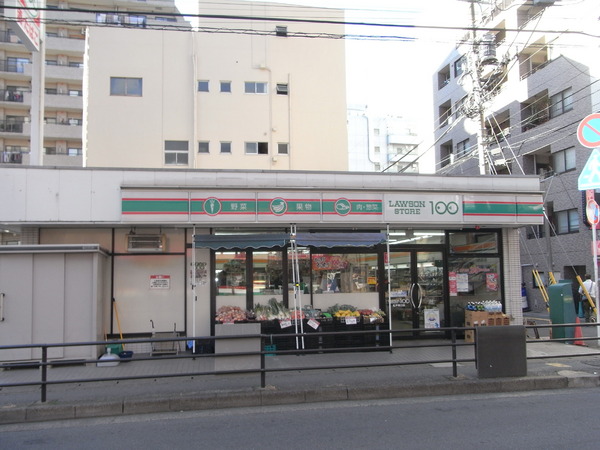 シティハイツ松戸(ローソンストア100松戸東口店)