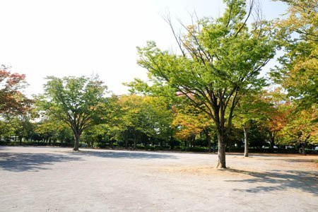 シティハイツ松戸(松戸中央公園)