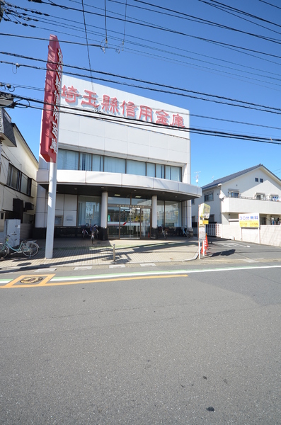 ドルチェヴィータ(埼玉縣信用金庫大袋支店)