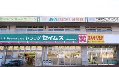 ヒダカコーポ(ドラッグセイムス越谷大里薬局)