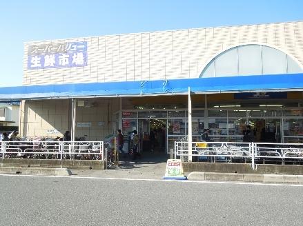 コーポむつみ(スーパーバリュー越谷店)
