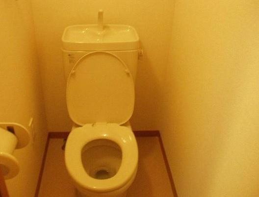 SupremeTsukishima(トイレ)