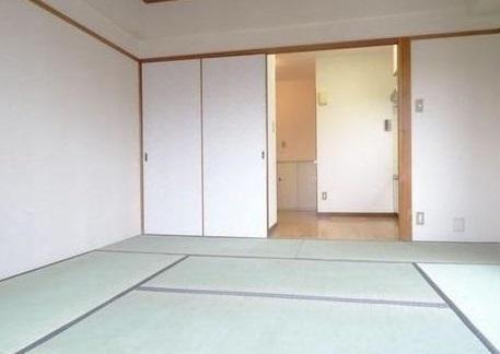 ハイネスカワマタ