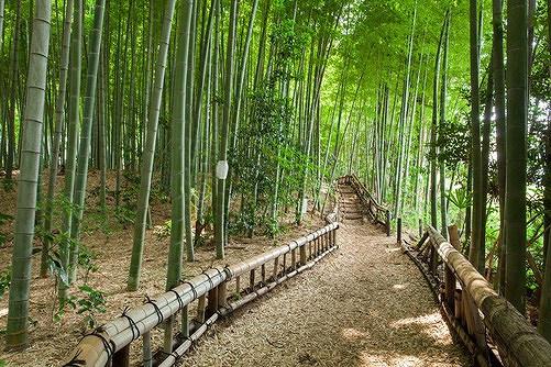 南沢２丁目貸家(竹林公園)