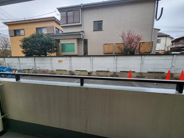アムール白山