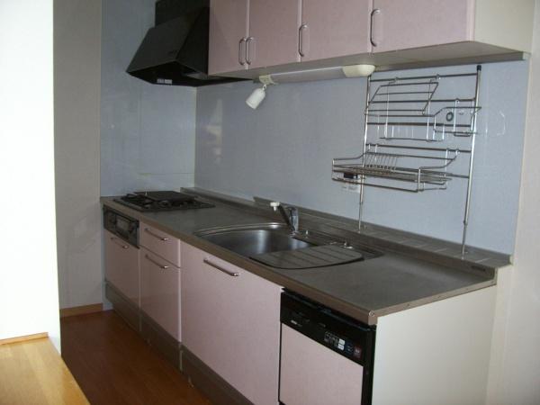 イズミビル(キッチン)