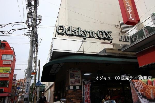 川崎市麻生区細山1丁目のアパート(OdakyuOX読売ランド店)