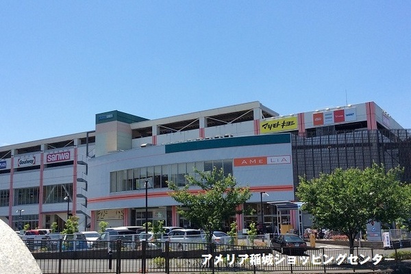 稲城市矢野口のアパート(sanwaアメリア稲城ランド通り店)