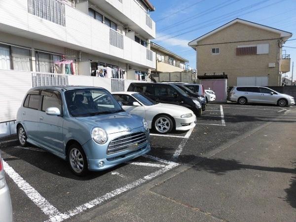 ブルーベル