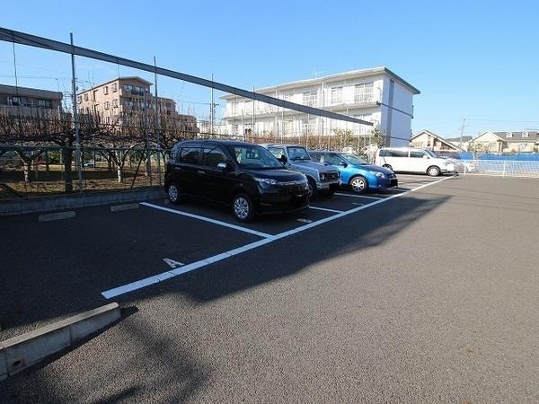 アムール栞