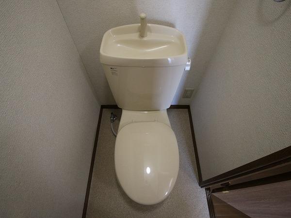 アムール栞