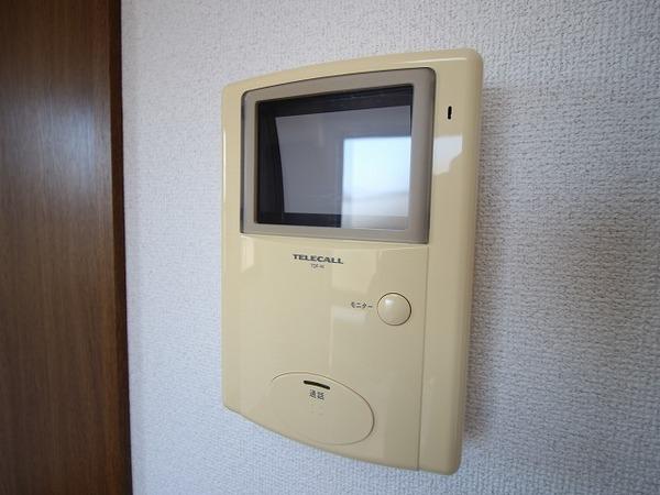 アムール栞