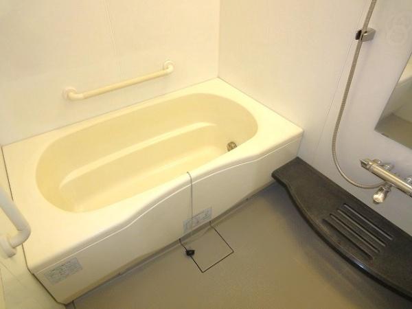 パークホームズ向ヶ丘遊園ステーションアリーナ