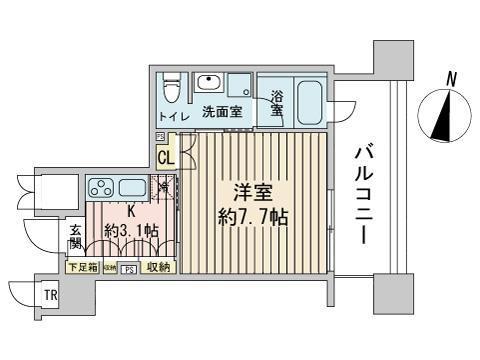 ラフィネタワー札幌南3条(間取り)