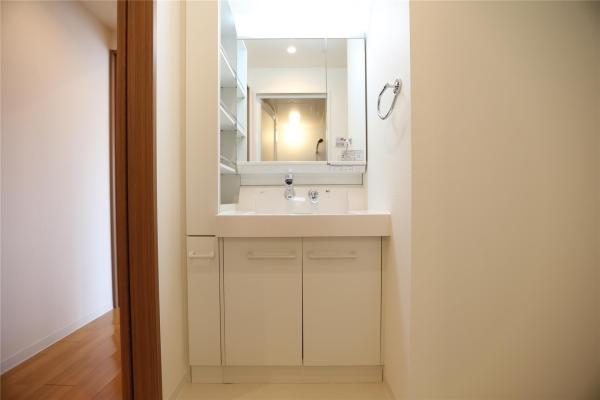 ラフィネタワー札幌南3条(洗面台・洗面所)