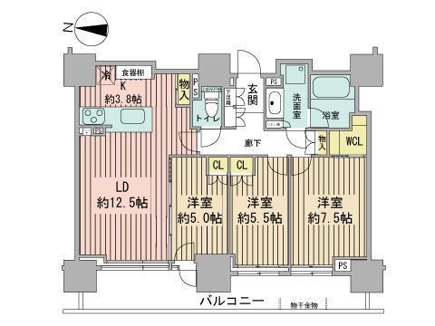 シティタワーズ円山