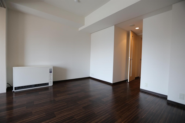 ビッグパレス南５条