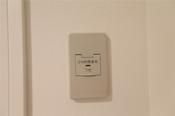 NOVA大通