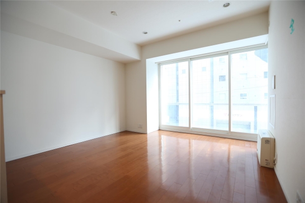 プライムメゾン南2条(リビング)