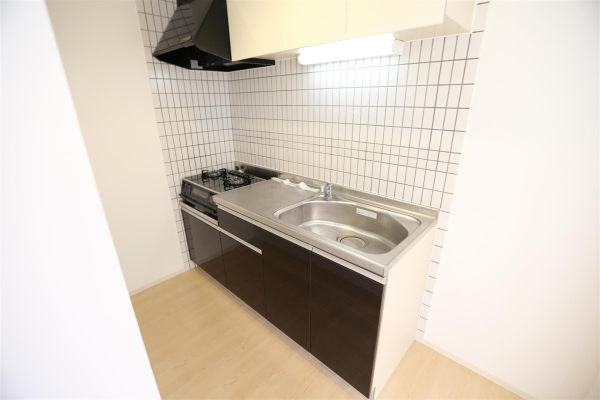 グランカーサ北3条(キッチン)