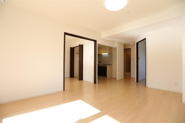 グランカーサ北3条(リビング)