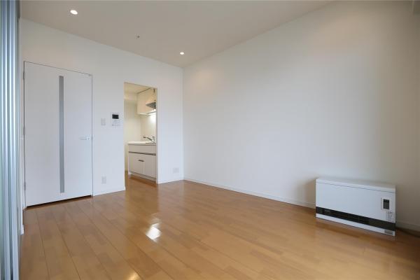 ラフィネタワー札幌南3条(リビング)