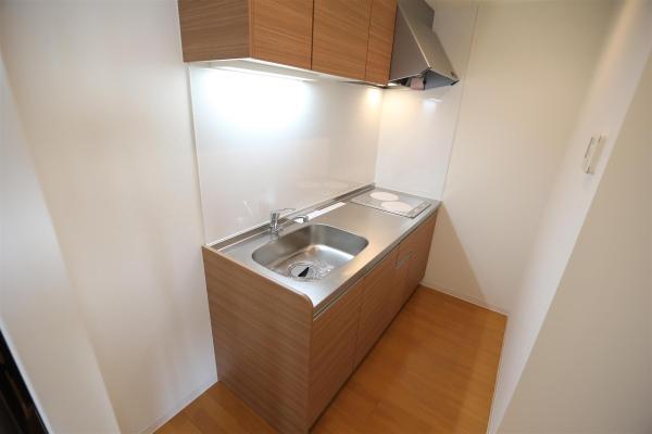 ラフィネタワー札幌南3条(キッチン)