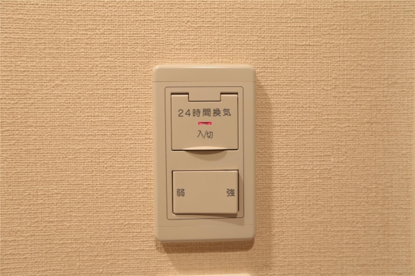 イリオスディオ