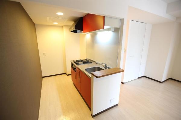 ビッグパレス南6条(キッチン)